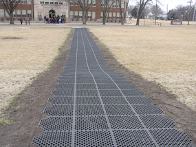 The pedestrian pathway made of 100% recycled materials, leading from the parking lot to the front entrance.