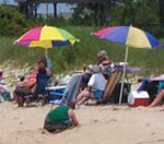 visitors enjoying a day in the sun