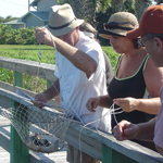 Crabbing at Canaveral