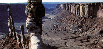 Towers of Wingate Sandstone in Taylor Canyon