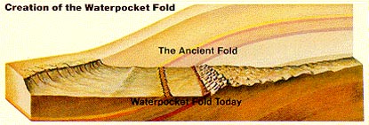Waterpocket Fold Cross Section