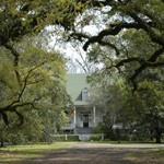 Magnolia Home