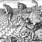 The early Native Americans in North Florida were called Timucuans. They were a semi-nomadic hunting and farming society