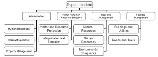 Organizational Chart