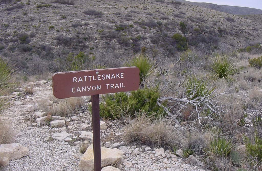 Lower Rattlesnake Canyon Carlsbad Caverns National Park (U.S. National Park Service)