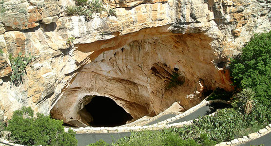 The natural entrance of Carlsbad Cavern.