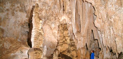 The only way to see the Queen's Chamber in Carlsbad Cavern is to take the Kings Palace guided tour. Reservations for all guided tours are stronly recommended.