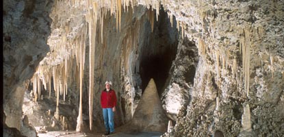 The Texas Tooktpick is one of many formations you'll see on the Lower Cave Tour in Carlsbad Cavern.