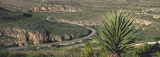 Walnut Canyon drive is a seven-mile scenic drive to the park visitor center.