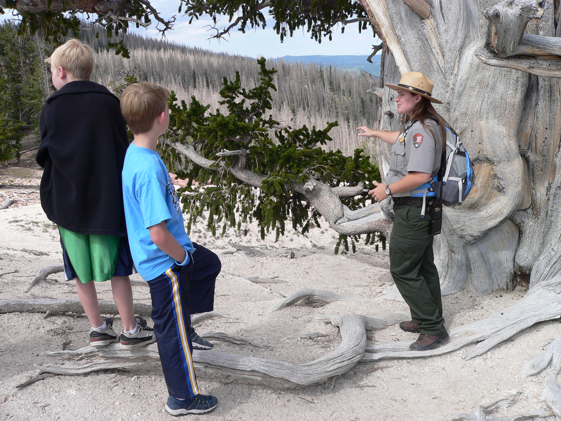 Park Ranger Megee giving a guided hike.