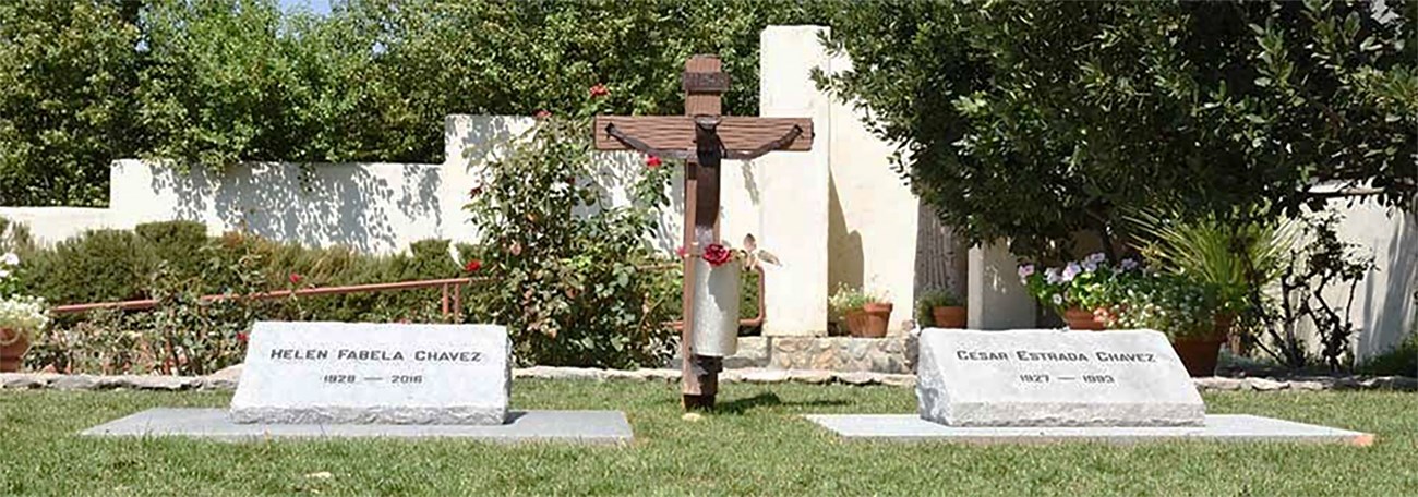 The graves of Cesar and Helen Chavez surrounded by green grass