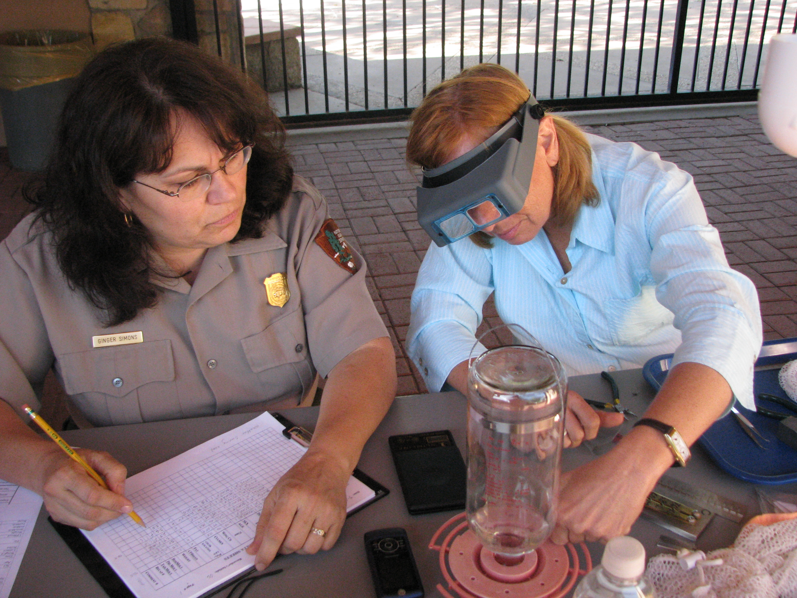 Hummingbird banding taking place