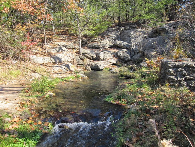 A rock wall with a small stream emerging from the base