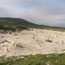 calcium carbonate casts of vegetation