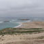 sandy beach with seals and sea lions