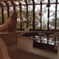 model elephant seal and marine life exhibit inside visitor center