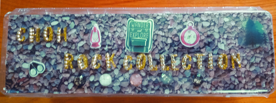 C&O Canal Rock Collection Egg Carton