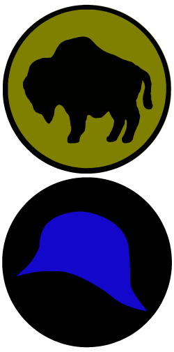 An image of a buffalo inside of a circular design and a blue helmet inside a black circle