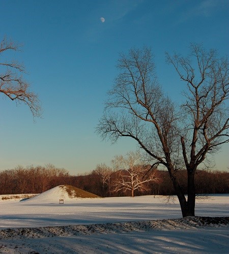 Earthen mounds covered in a light blanket of snow with a large tree in the foreground and the moon visible in the blue sky