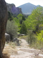 Creekside Towers Trail winding amongst granite domes and colorful flora