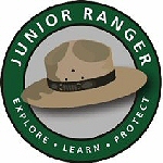 Junior Ranger logo with hat design.
