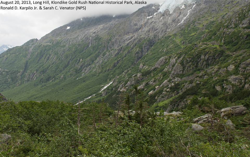 Lush green mountain-scape with small snow patches and glacier on mountain background.
