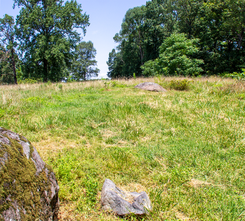 A row of dead bodies lay in an open field. A large boulder is in the lower left corner and small boulder is in the middle right.