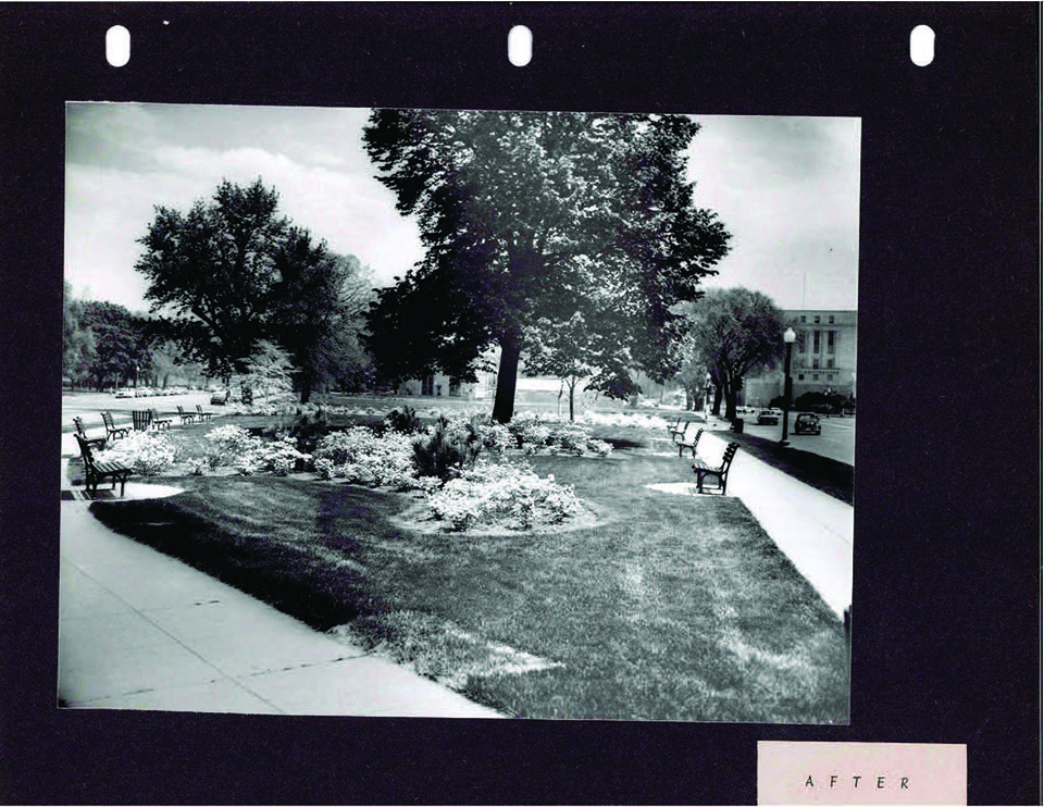 A sidewalk forms a "V" around a patch of grass with benches, leafless trees, and trash cans, labeled "Before."