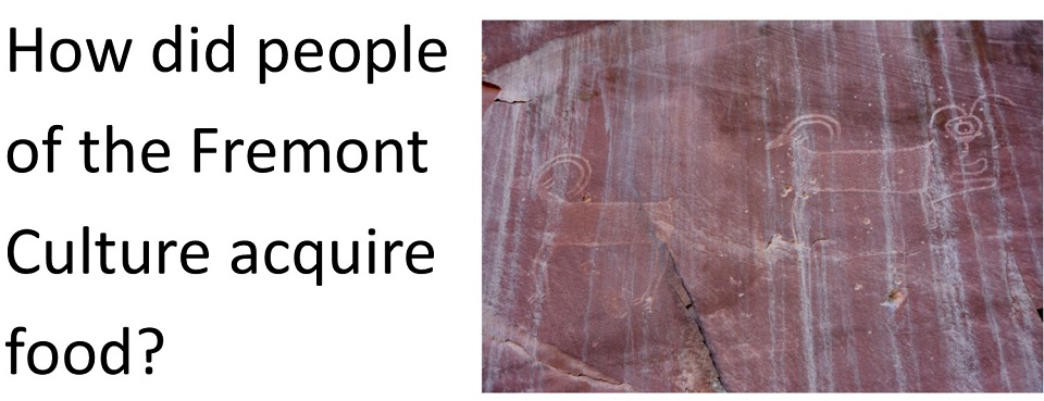 Text: How did people of the Fremont Culture acquire food? Image: bighorn sheep images carved into rock wall.