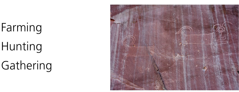 Text: How did people of the Fremont Culture acquire food? Image: bighorn sheep images carved into rock wall.