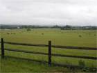 A wood rail fence marks the boundary of a lush green pasture under grey skies.