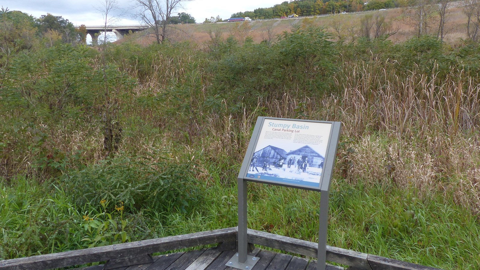 Exhibit on a wooden boardwalk in front of an area overgrown with plants, a highway bridge behind it.