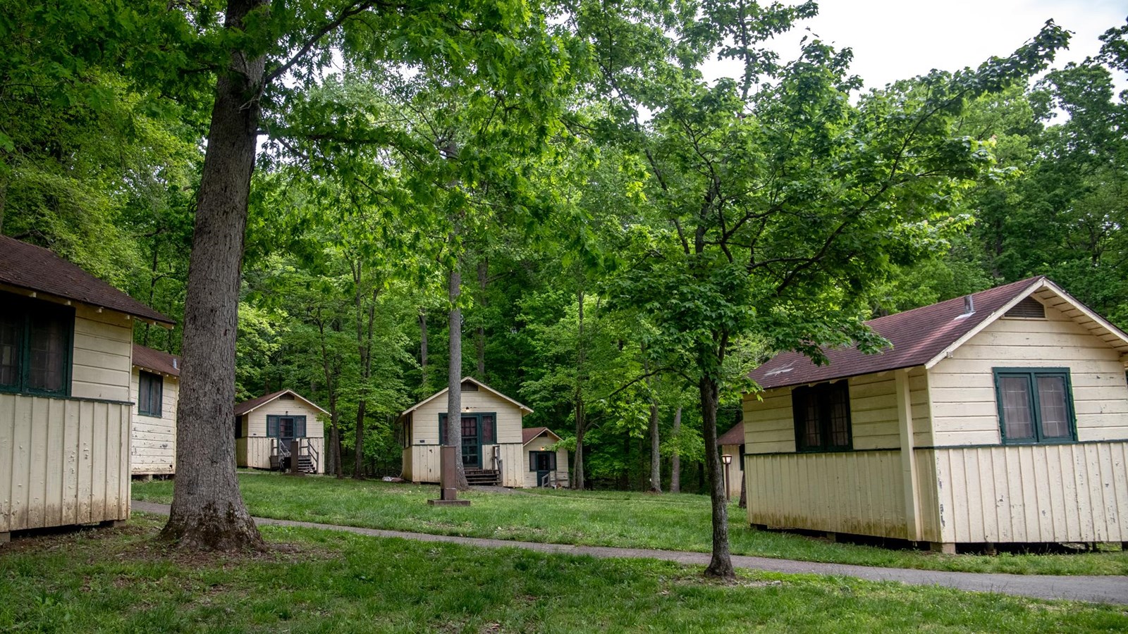 A few small wooden cabins along a sidewalk are surrounded by a lush green forest.