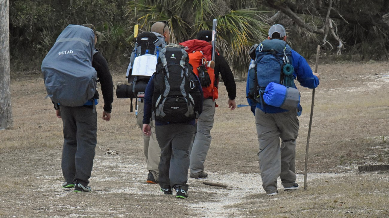 A group of 5 back packers hiking along an open trail on Cumberland Island