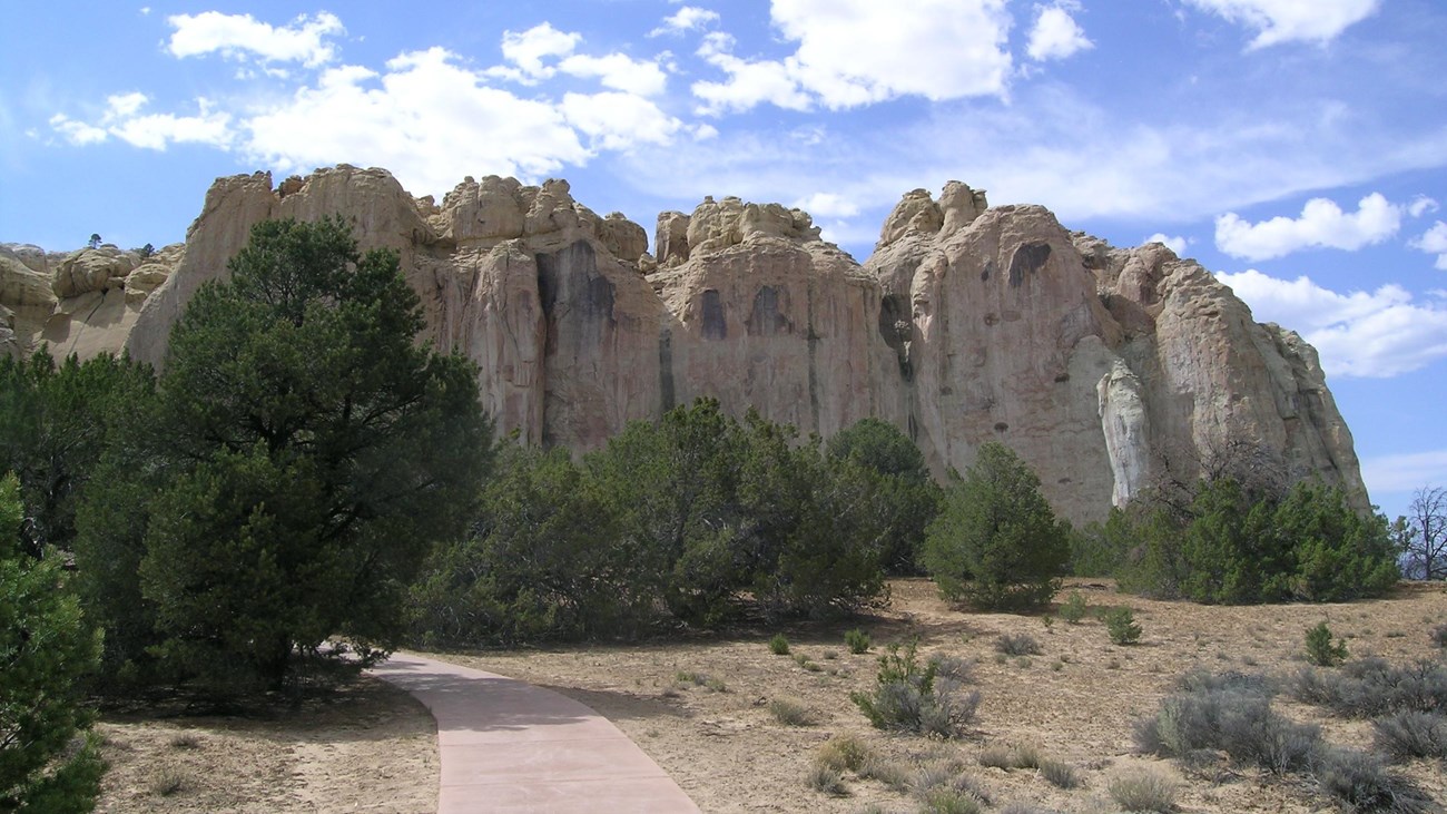 A trail winds through juniper trees towards the base of a large cliff.