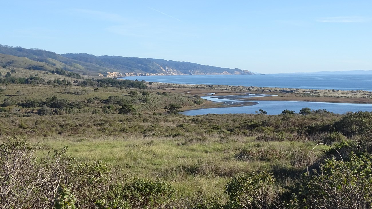 Grass and scrubland in the foreground, wetlands in the mid-distance, and rugged coastline beyond.