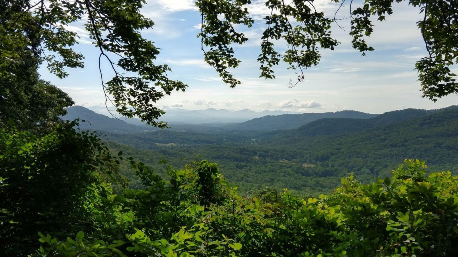 Shrubs and tree branches frame a view of a wooded valley with far off mountains