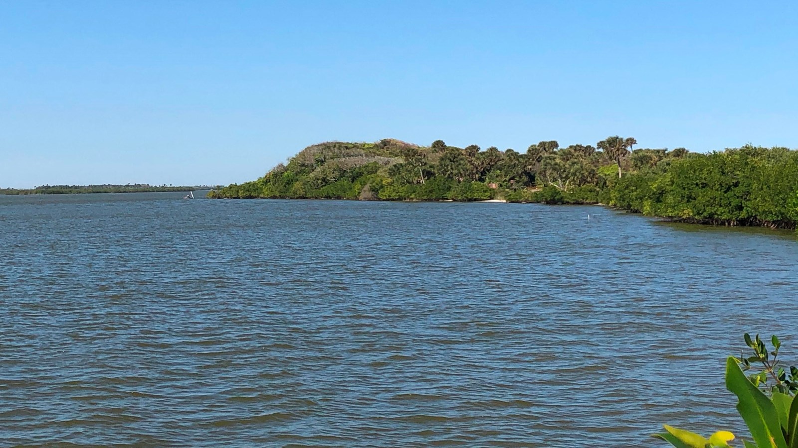 View of Turtle Mound from the visitor center dock.