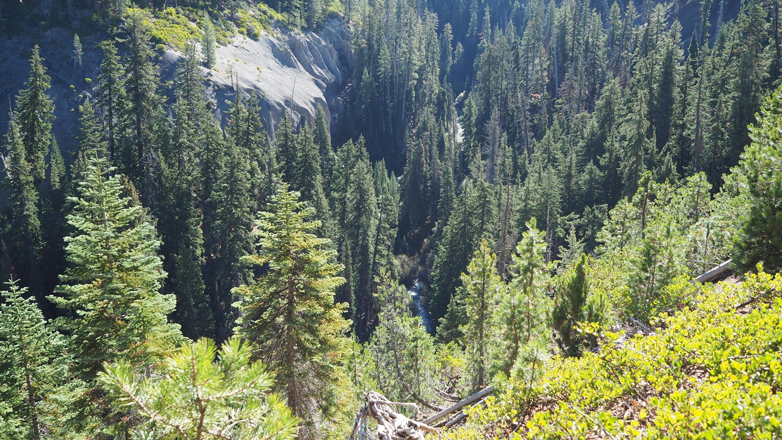a forest covered canyon with areas of erosion and a creek cutting down the center 