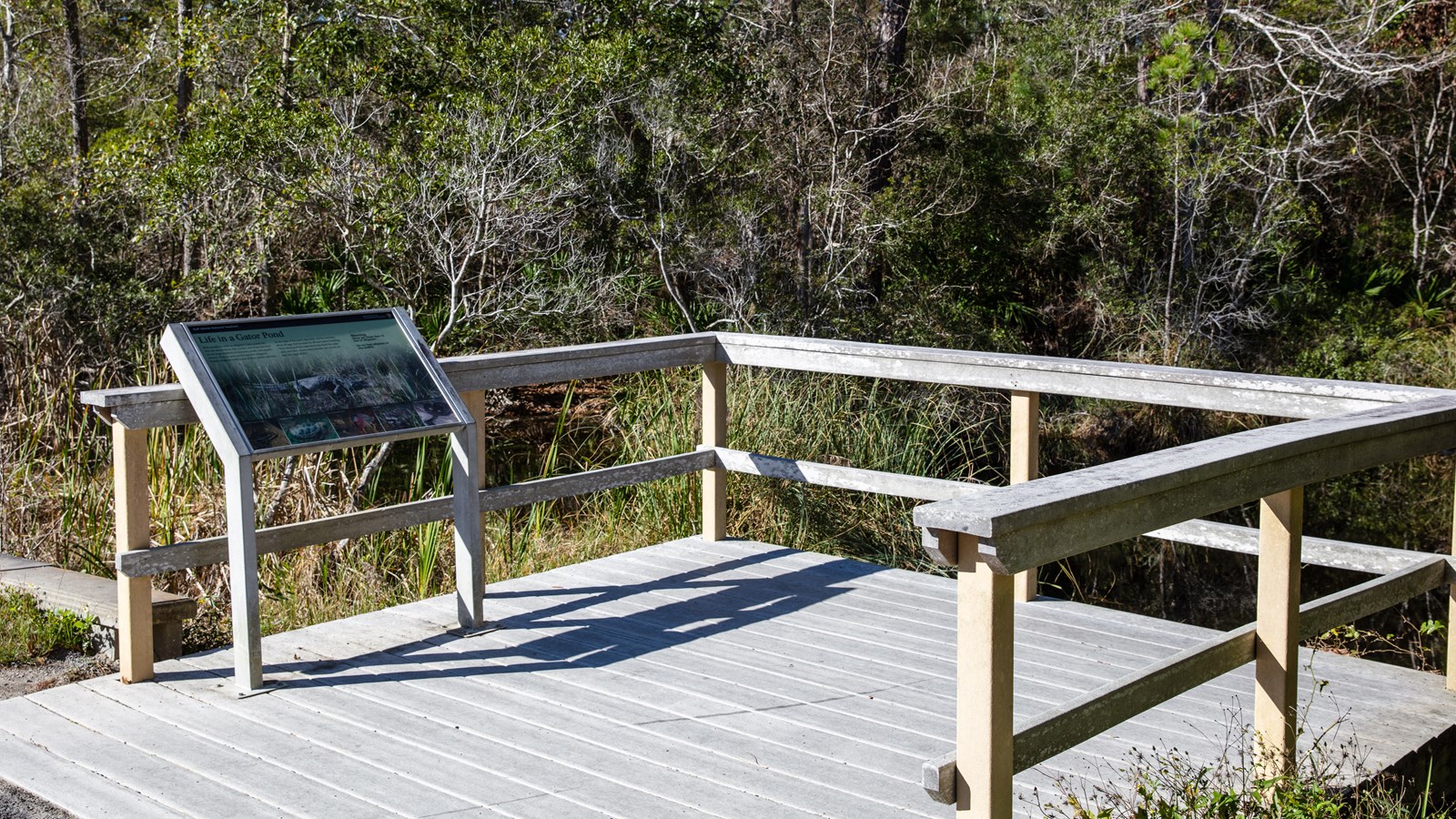 A wooden platform stands in front of a dark pond and vegetation.