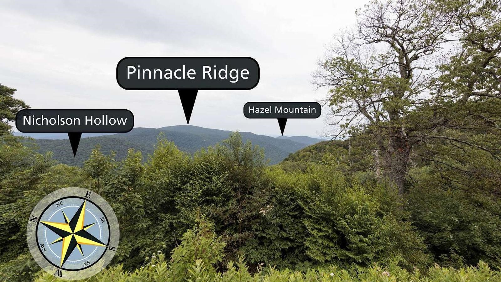 View over large brush out to mountains beyond.