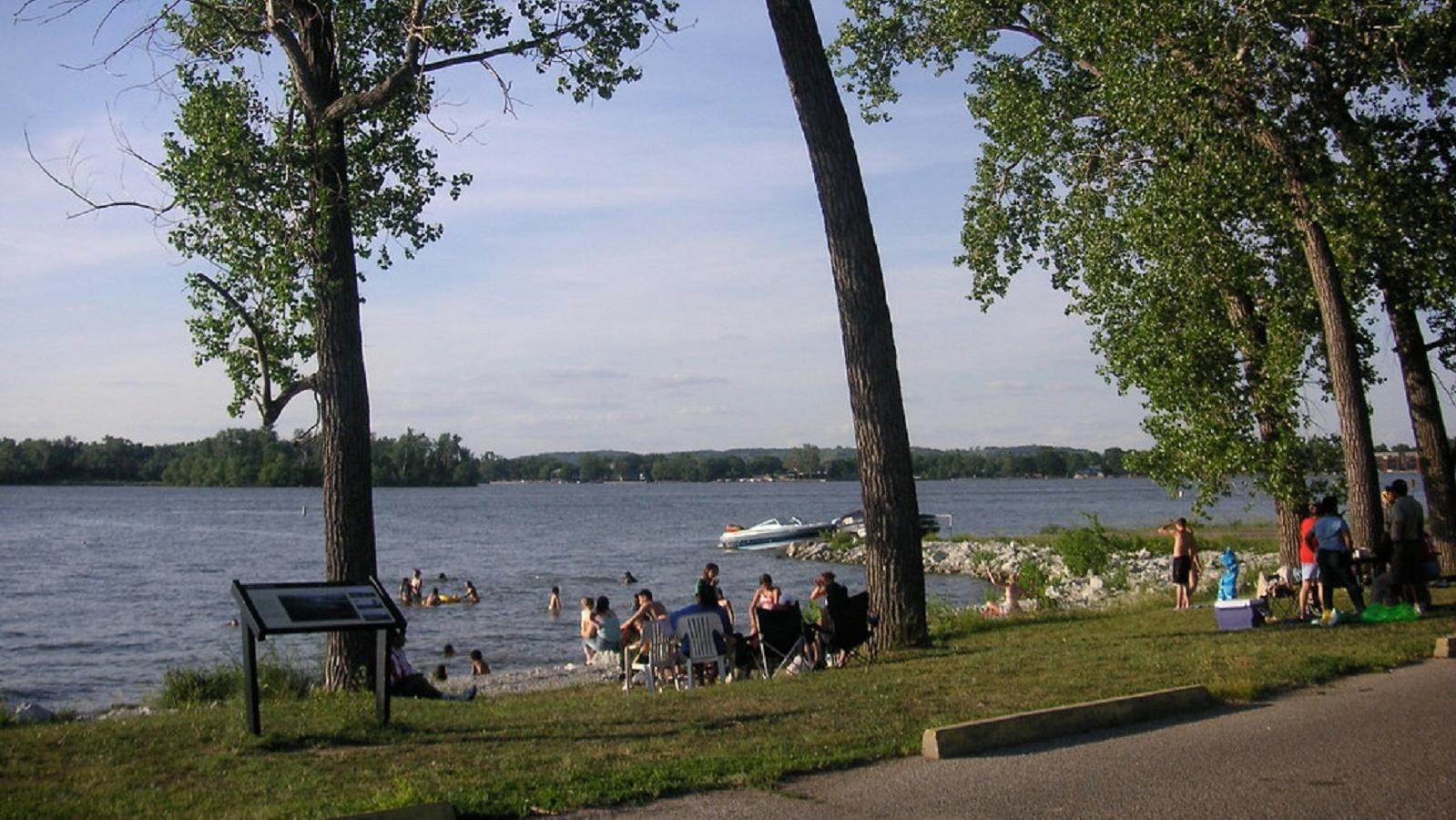 Visitors lounge on the beach under tall trees.