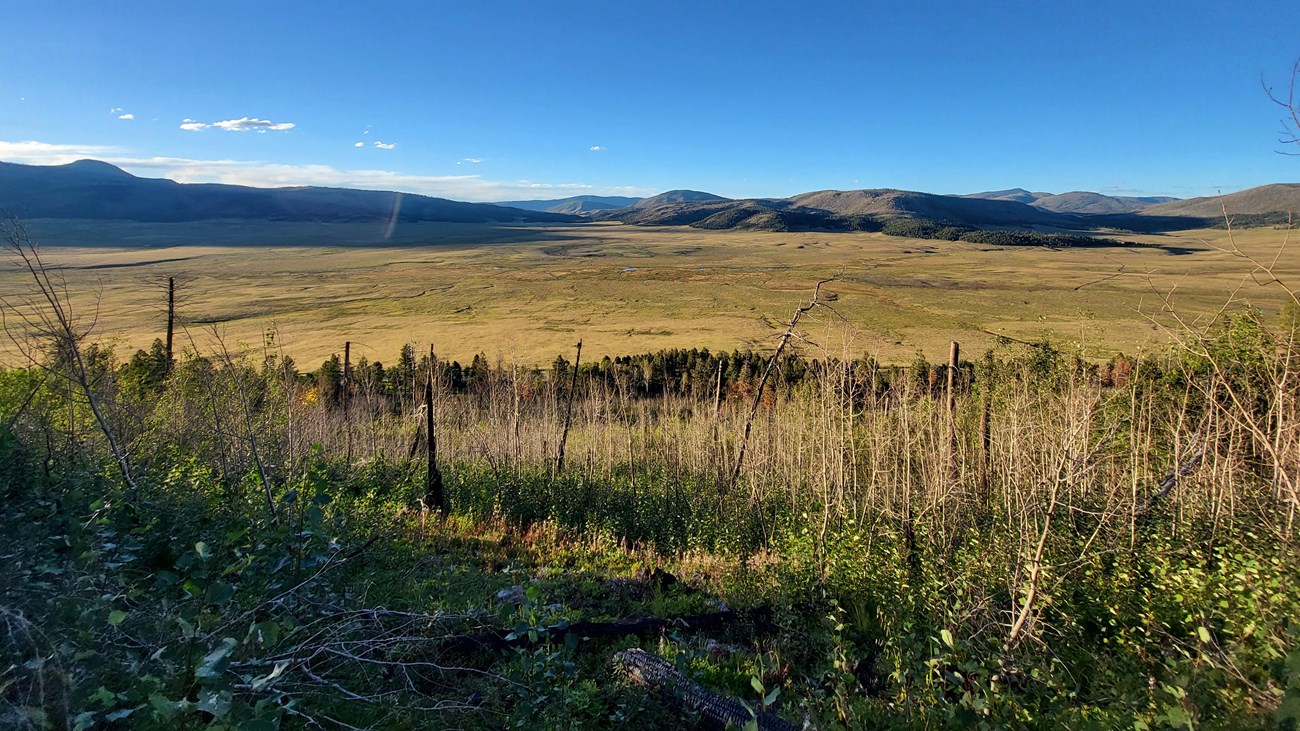 A view from a mountain into a large, grassy valley near sunset.