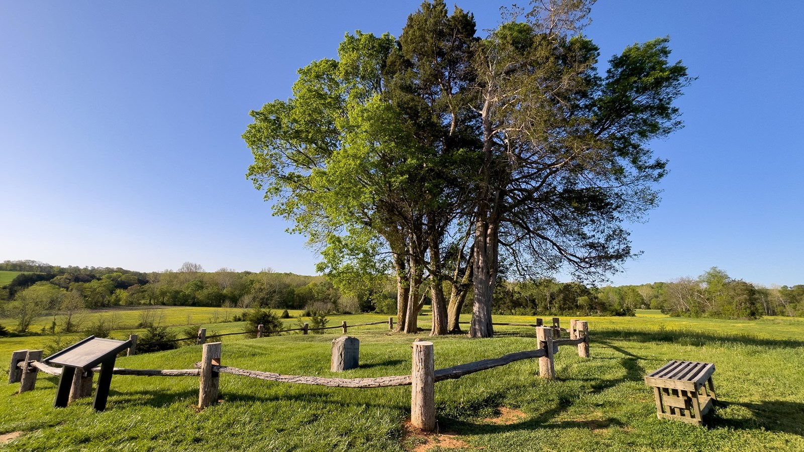 A grassy area with a stone marker and tree enclosed by a wood fence.