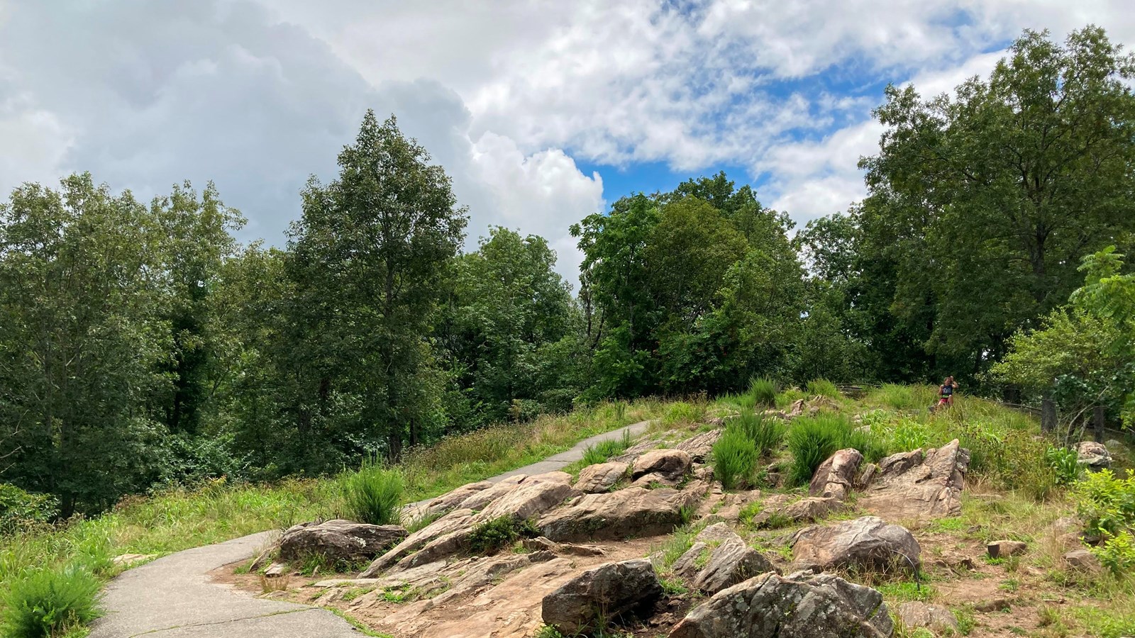 The exposed granite peak of Big Kennesaw Mountain. 