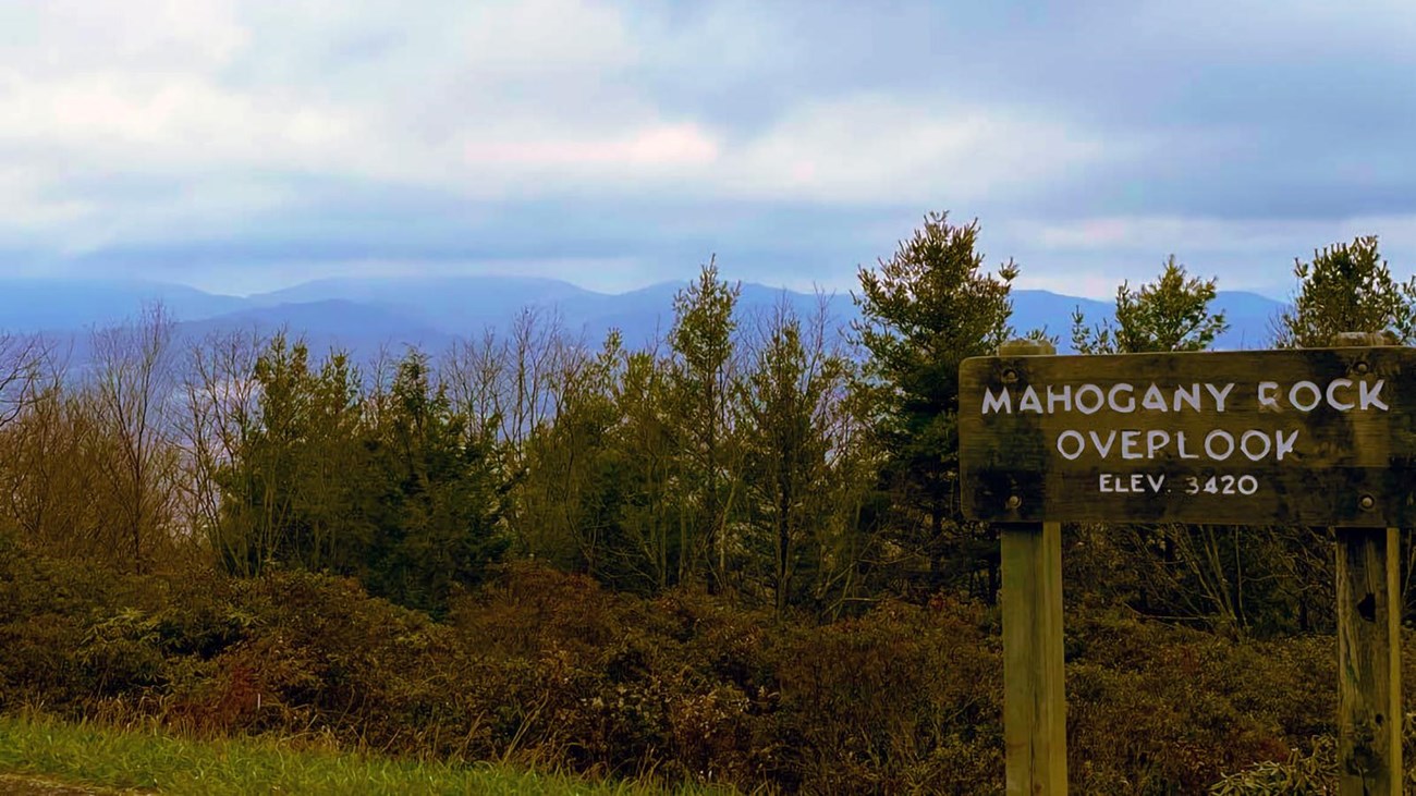 Mountains rise in the distance past a mixed deciduous/evergreen forest as seen from Mahogany Rock.