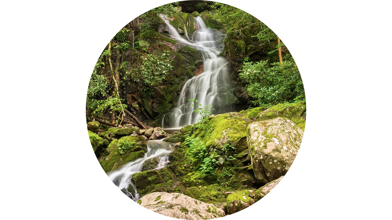 A thin waterfall cascading past green trees and mossy rocks.