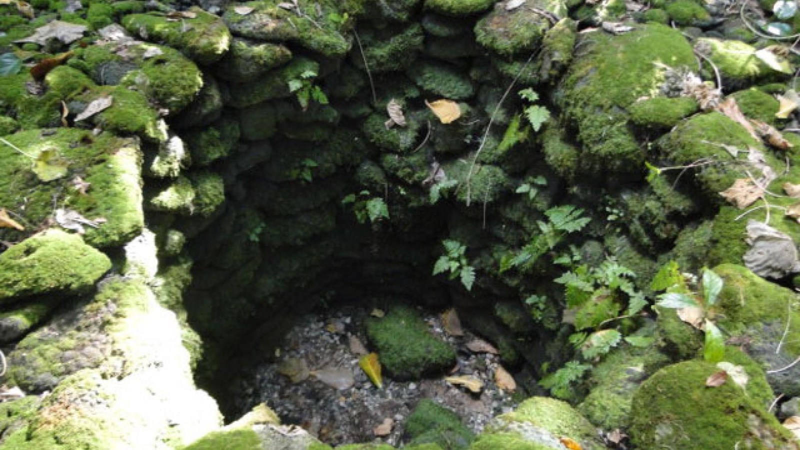 A close up picture of a well in the ground surrounded by mossy rocks.