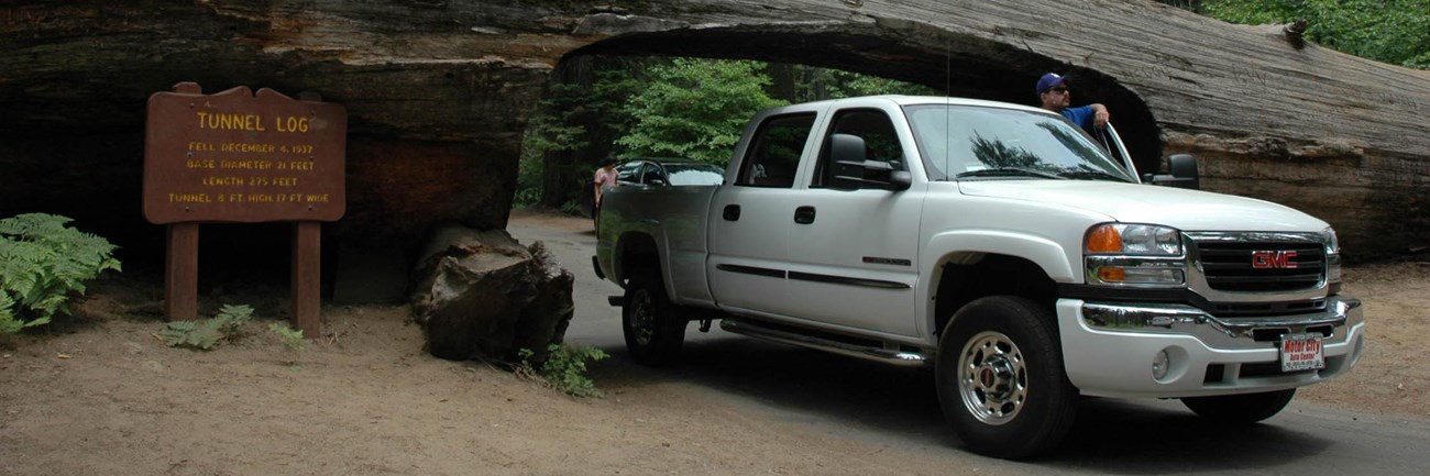 A truck drives through Tunnel Log, while a group of people pose for a photo above.