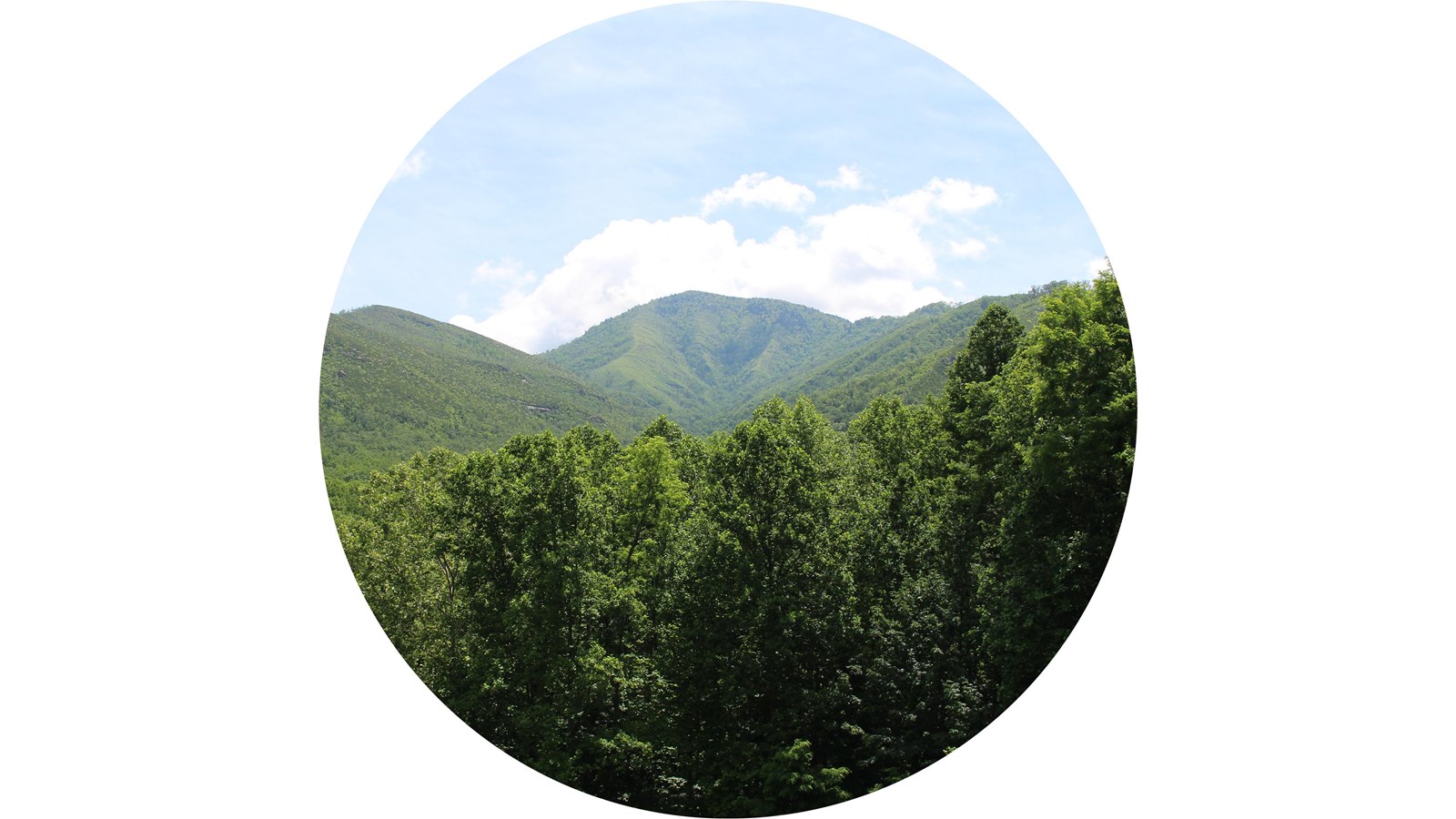 A mountain view on a partly cloudy day with green trees in the foreground.